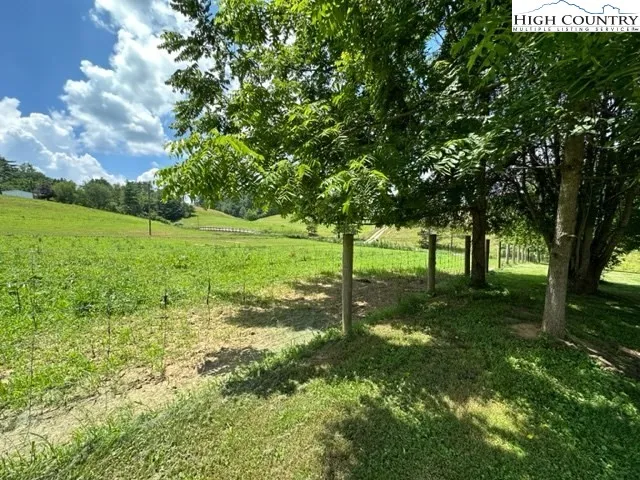 a view of a trees with a yard