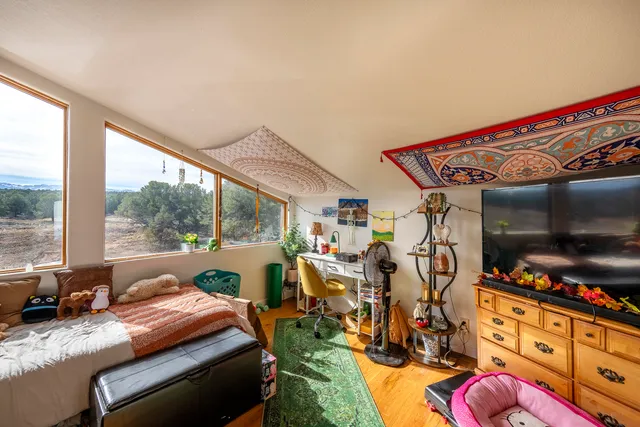 a bed room with a bed and a television