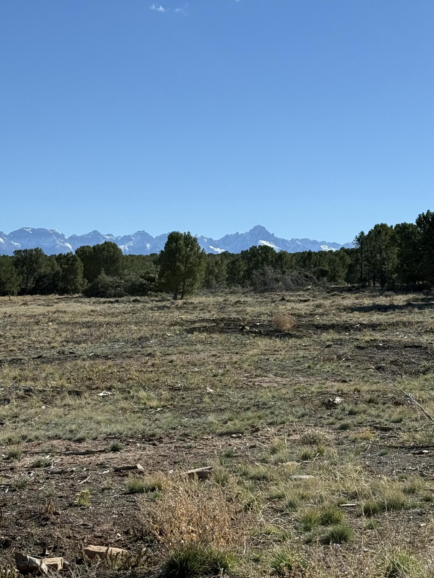 1531 Sage Road Montrose, CO 81403 - Photo 18 of 19 view