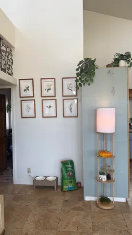 a backyard of a house with potted plants