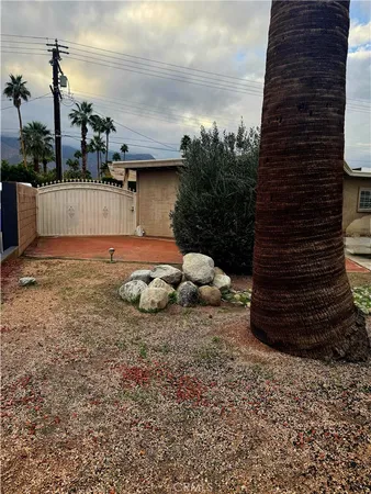 a view of a backyard