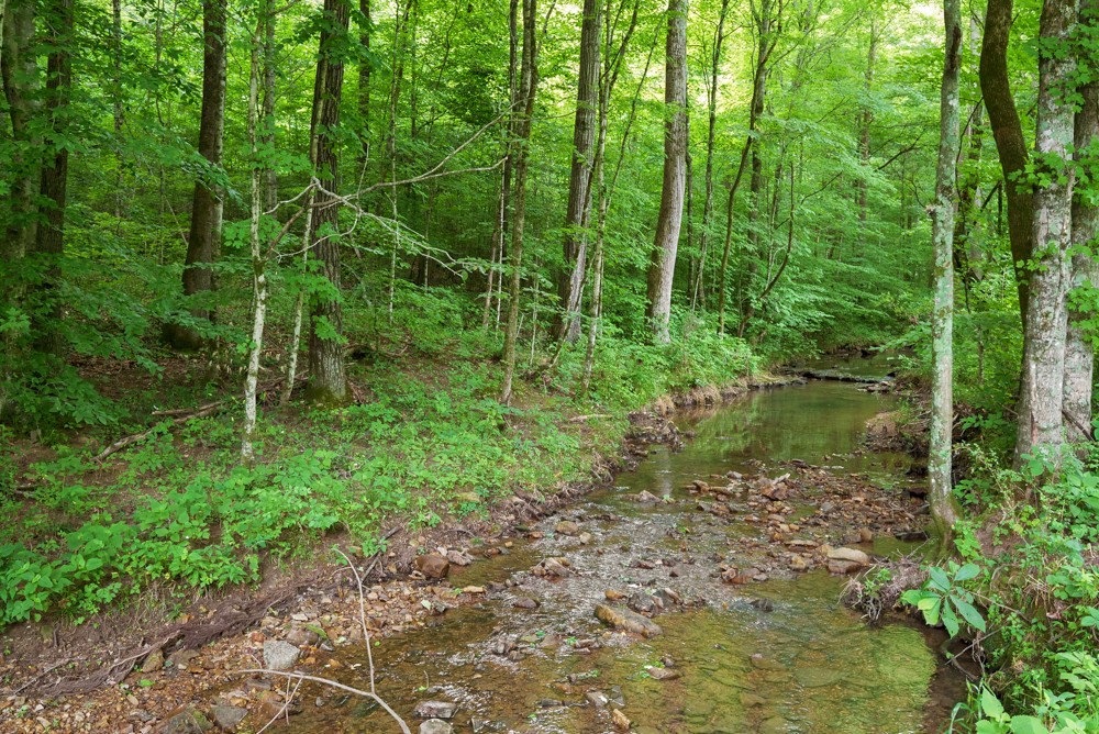 7395 Valley Road Fairview, TN 37062 - Photo 12 of 34