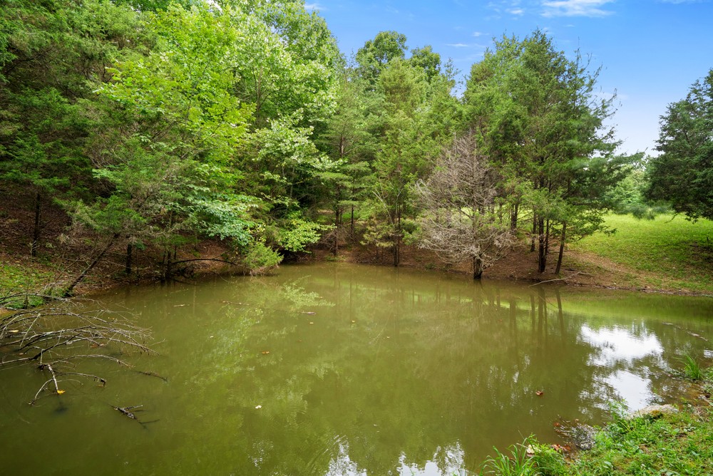 7395 Valley Road Fairview, TN 37062 - Photo 15 of 34