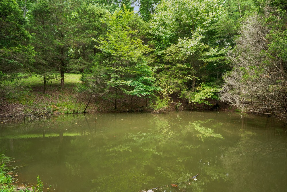 7395 Valley Road Fairview, TN 37062 - Photo 17 of 34