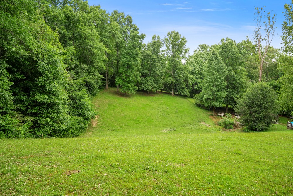 7395 Valley Road Fairview, TN 37062 - Photo 24 of 34