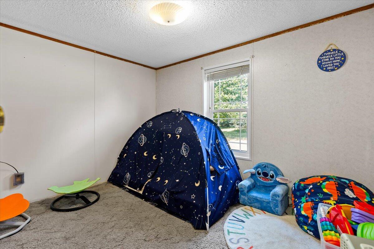 11383 Bale Road Lakeview, MI 48850 - Photo 29 of 33 Gallery Image 29