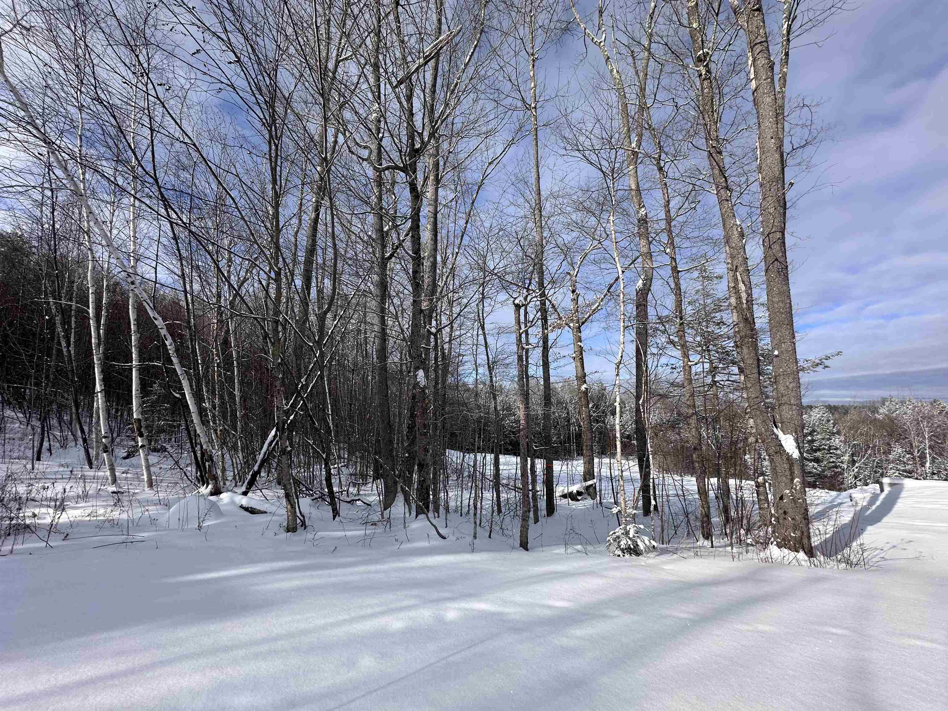 0 Stratton Gardens Road, Unit LOT #23 Winhall, VT 05340 - Photo 5 of 12