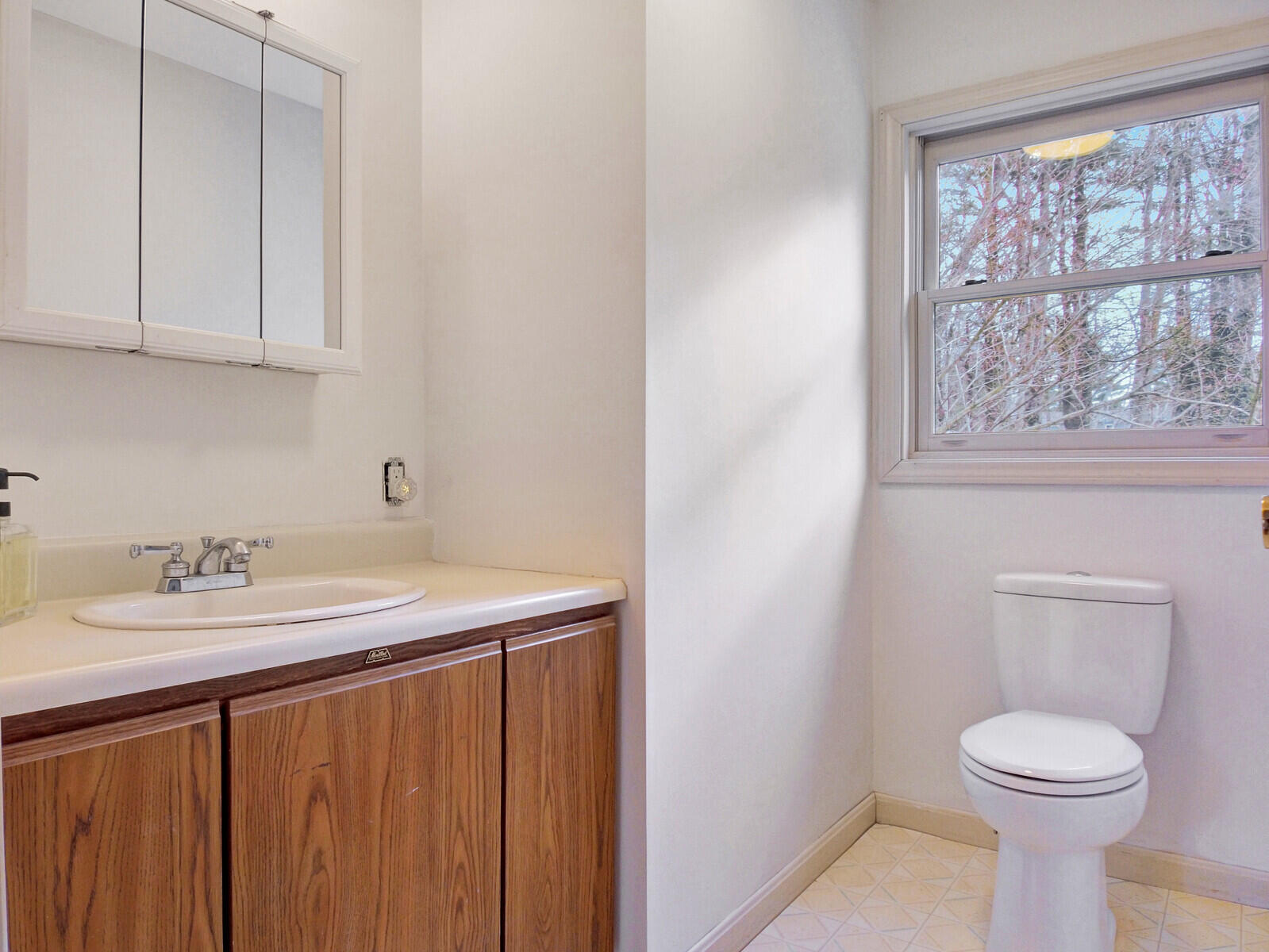 17 West Street Manchester, ME 04351 - Photo 28 of 47 32_DJI_0040_DxO_mls
