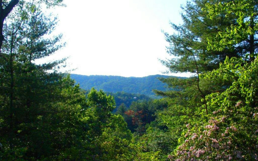 387 East Dream Catcher Blue Ridge Blue Ridge, GA 30513 - Photo 1 of 1 Main View