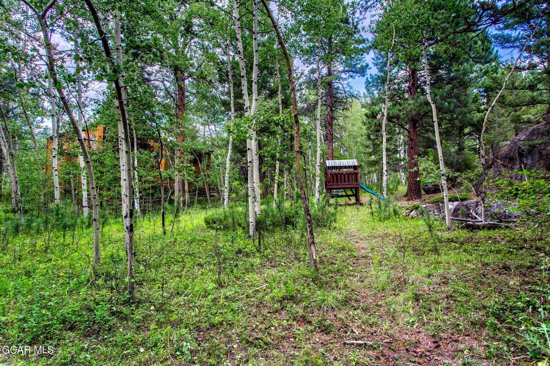 30539 Rand Road Conifer, CO 80433 - Photo 35 of 36 a view of a garden