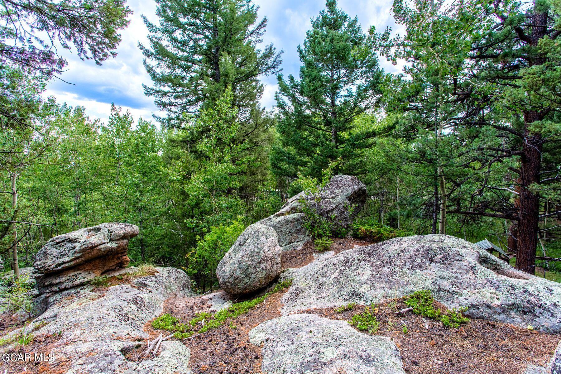 30539 Rand Road Conifer, CO 80433 - Photo 8 of 36 a view of an outdoor space