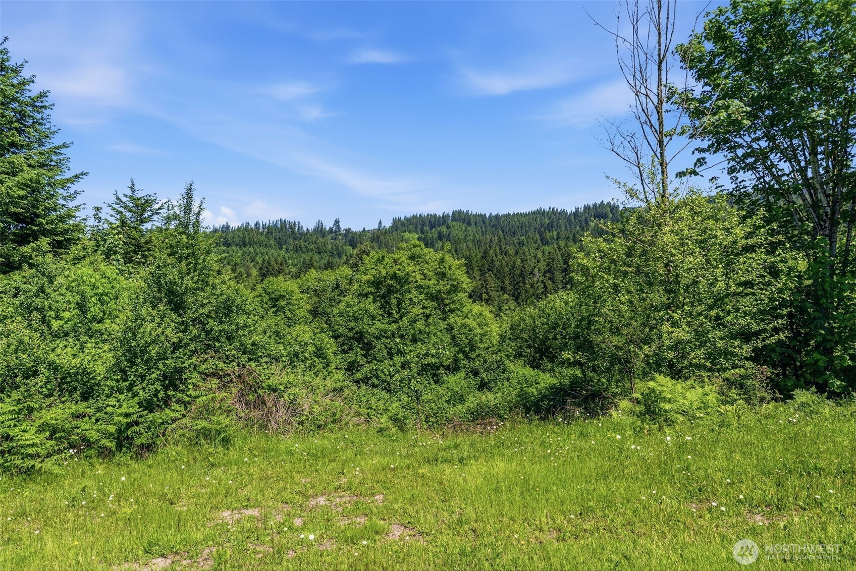 852 Confer Road Kalama, WA 98625 - Photo 14 of 16
