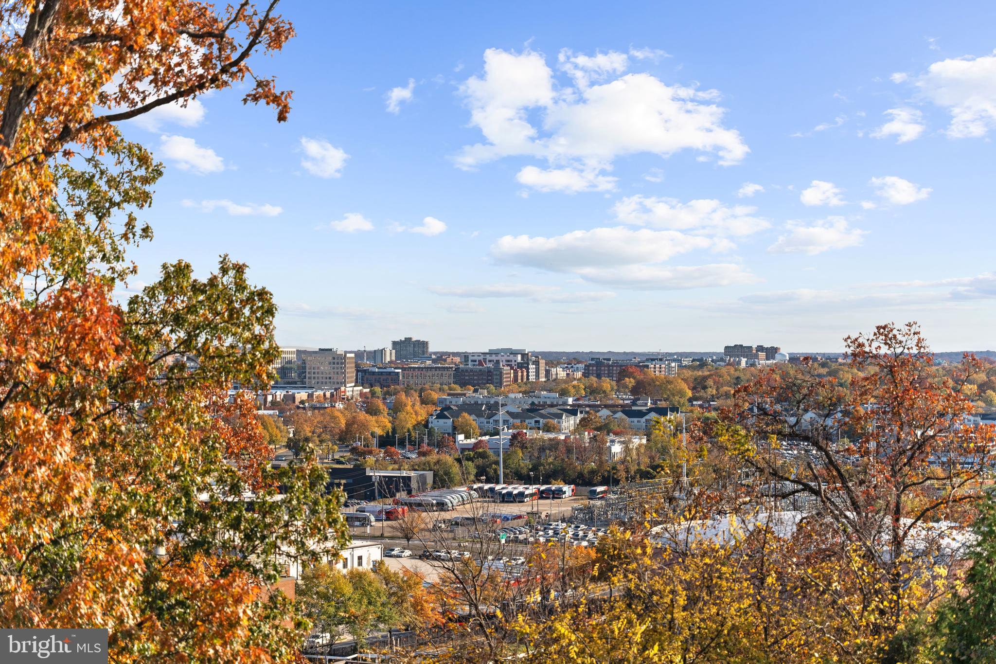 600 29th Road South Arlington, VA 22202 - Photo 57 of 62 a view of a city