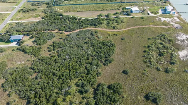 a view of a yard with a tree