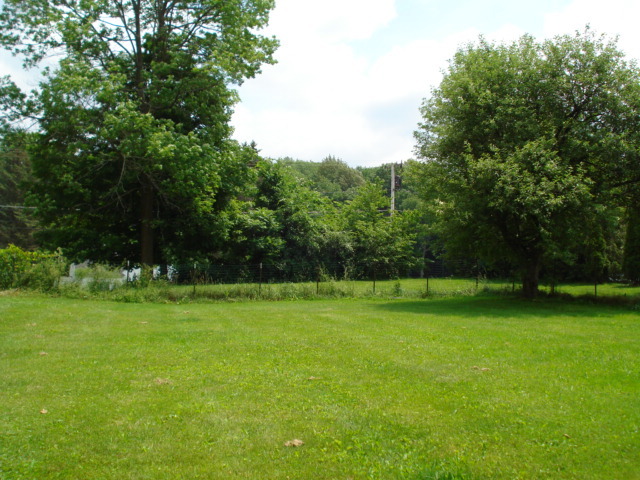 Backyard shot
