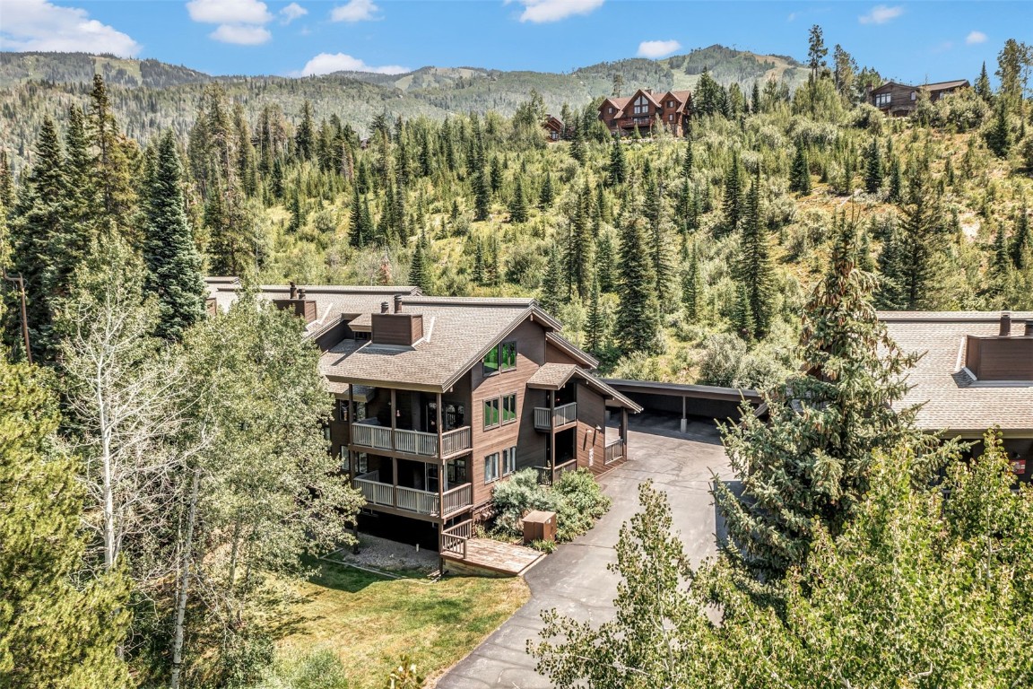 2617 Burgess Creek Road, Unit 102 Steamboat Springs, CO 80487 - Photo 36 of 38 an aerial view of a house with a yard and large tree