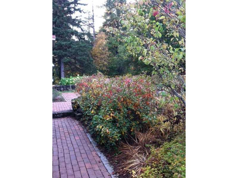 842 North Guilford Road Monson, ME 04464 - Photo 15 of 19 Yard/Garden.