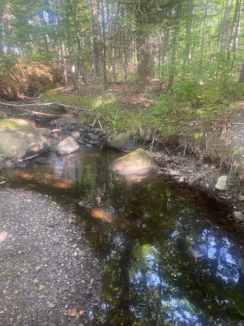 0 Pleasant River Road Milo, ME 04463 - Photo 22 of 26 IMG_20230902_111523