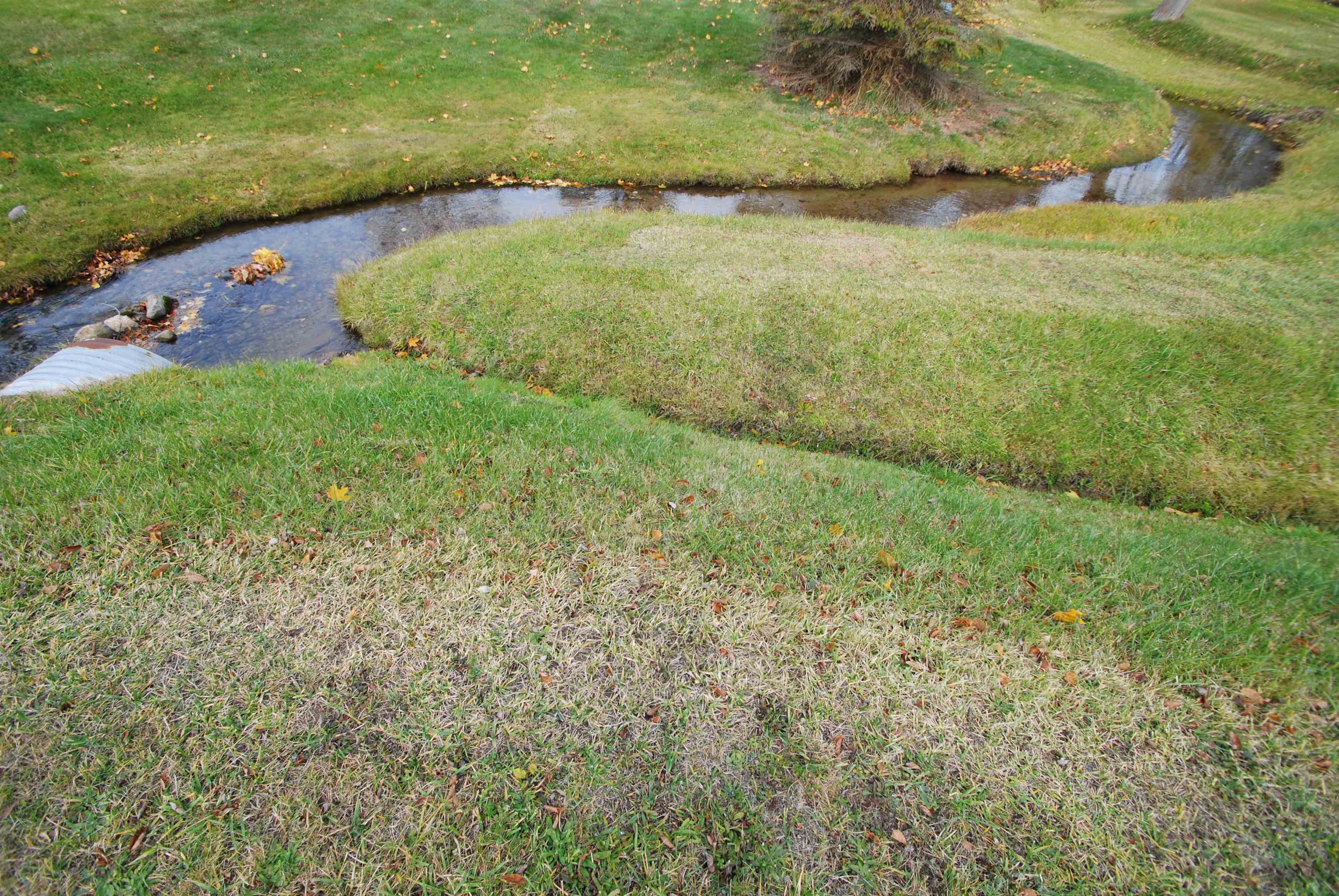2301 Birchcrest Road West Branch, MI 48661 - Photo 7 of 70