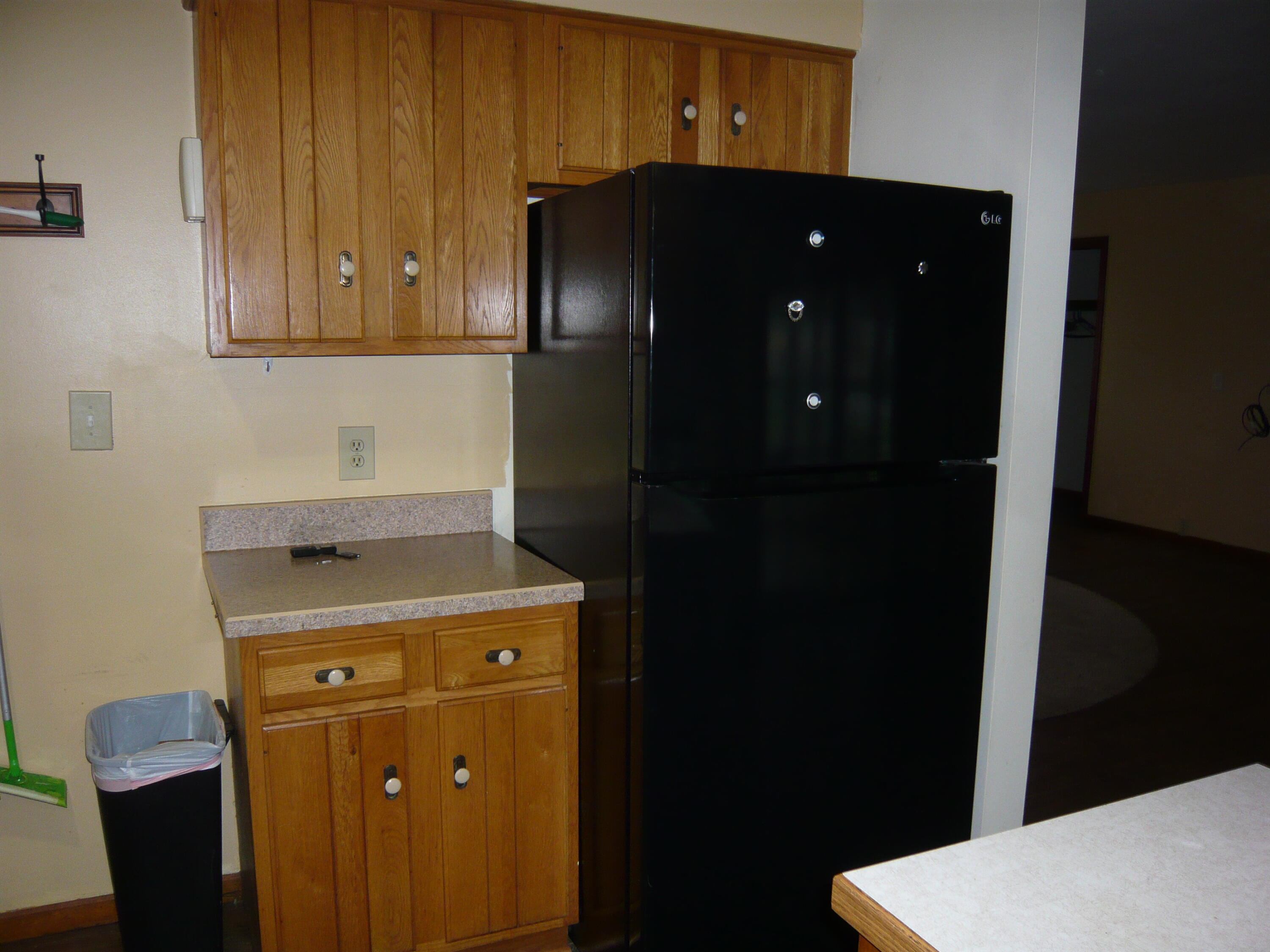 839 North Union City Road Coldwater, MI 49036 - Photo 8 of 29 P1050884