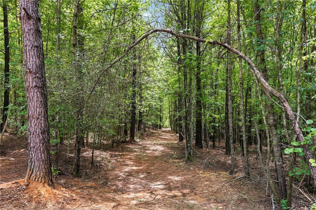 Lot 1 Pete Path Dallas, GA 30157 - Photo 11 of 21
