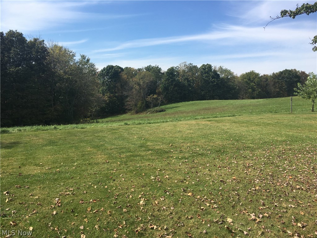 84918 Snyder Road Jewett, OH 43986 - Photo 17 of 23 Gallery Image 17