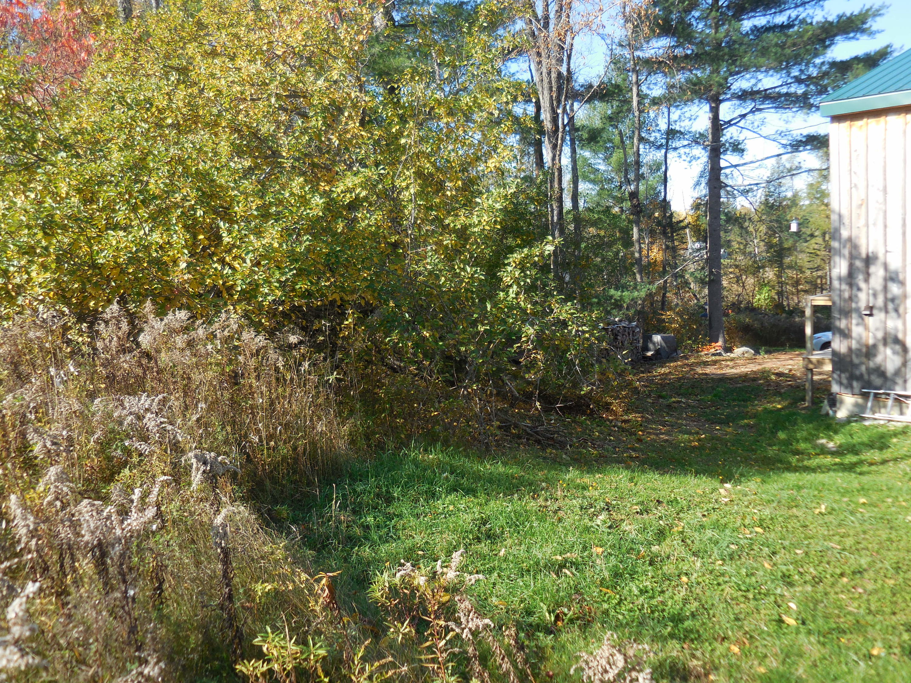 905 Warren Hill Road Palmyra, ME 04965 - Photo 44 of 46 43