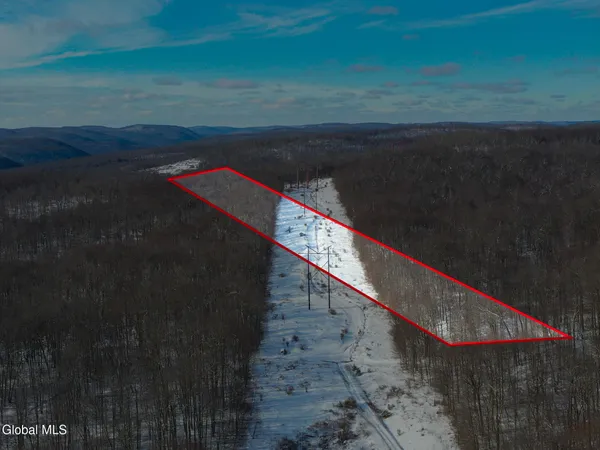 $30,000 | L9 Methol Cooks Falls, Roscoe, NY 12776
