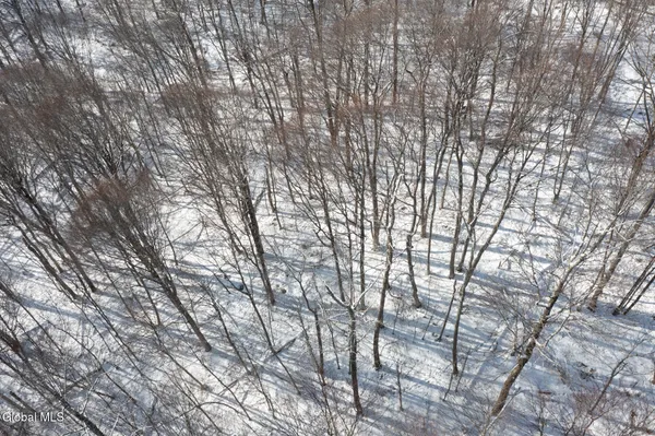 $30,000 | L9 Methol Cooks Falls, Roscoe, NY 12776