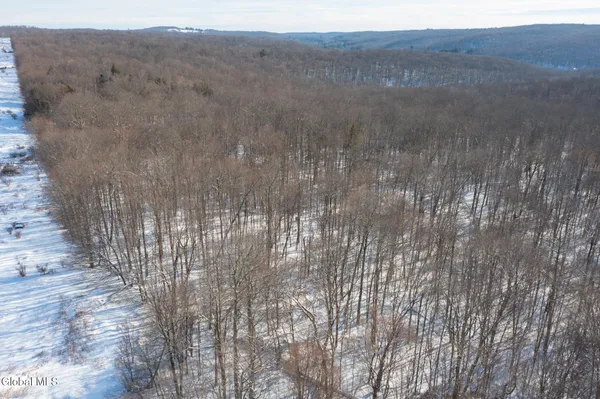 $30,000 | L9 Methol Cooks Falls, Roscoe, NY 12776