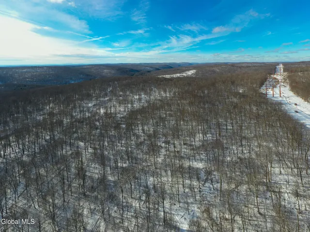 $30,000 | L9 Methol Cooks Falls, Roscoe, NY 12776