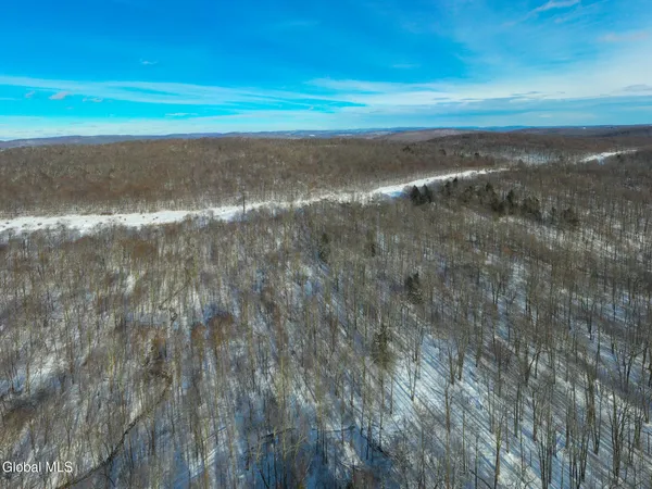 $30,000 | L9 Methol Cooks Falls, Roscoe, NY 12776