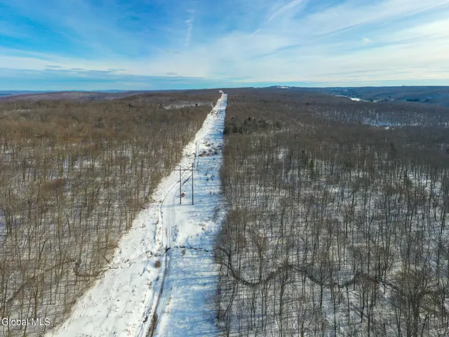 $30,000 | L9 Methol Cooks Falls, Roscoe, NY 12776