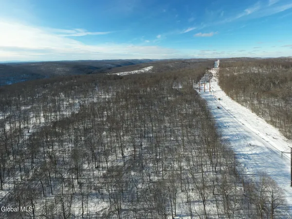 $30,000 | L9 Methol Cooks Falls, Roscoe, NY 12776