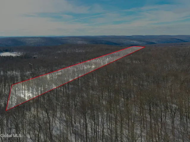 $30,000 | L9 Methol Cooks Falls, Roscoe, NY 12776