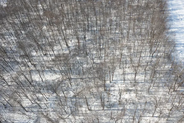 $30,000 | L9 Methol Cooks Falls, Roscoe, NY 12776