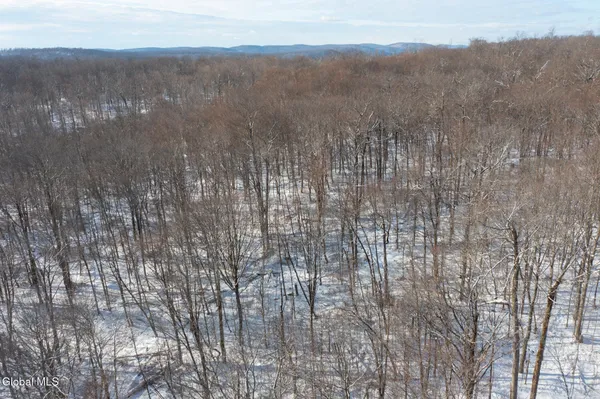 $30,000 | L9 Methol Cooks Falls, Roscoe, NY 12776