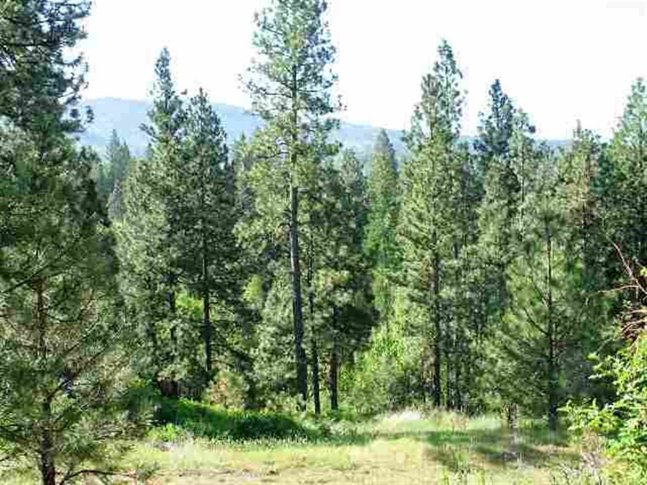 0 Quinimose & Redfeather Road Liberty Lake, WA 99019 - Photo 1 of 6 Gallery Image 1