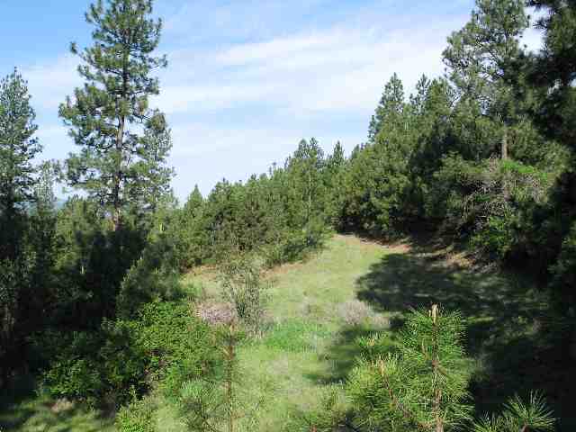 0 Quinimose & Redfeather Road Liberty Lake, WA 99019 - Photo 2 of 6 Gallery Image 2