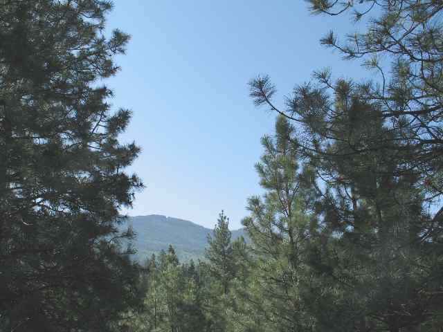 0 Quinimose & Redfeather Road Liberty Lake, WA 99019 - Photo 3 of 6 Gallery Image 3