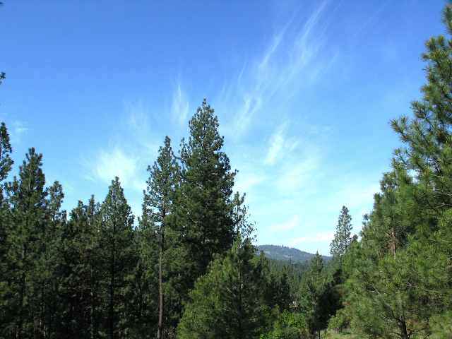 0 Quinimose & Redfeather Road Liberty Lake, WA 99019 - Photo 4 of 6 Gallery Image 4