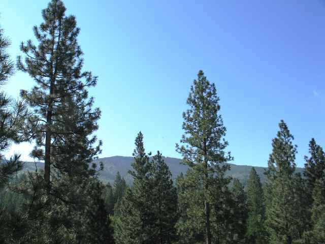 0 Quinimose & Redfeather Road Liberty Lake, WA 99019 - Photo 5 of 6 Gallery Image 5