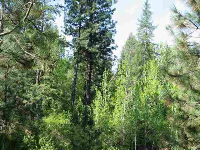 0 Quinimose & Redfeather Road Liberty Lake, WA 99019 - Photo 6 of 6 Gallery Image 6