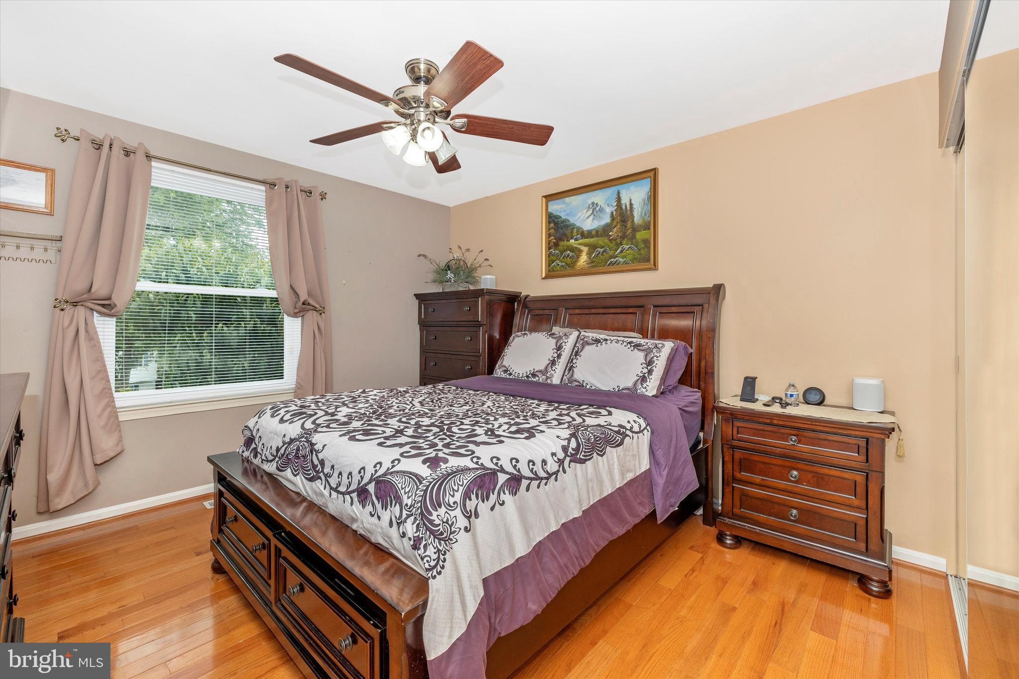 10319 Bloom Drive Damascus, MD 20872 - Photo 15 of 42 Primary bedroom