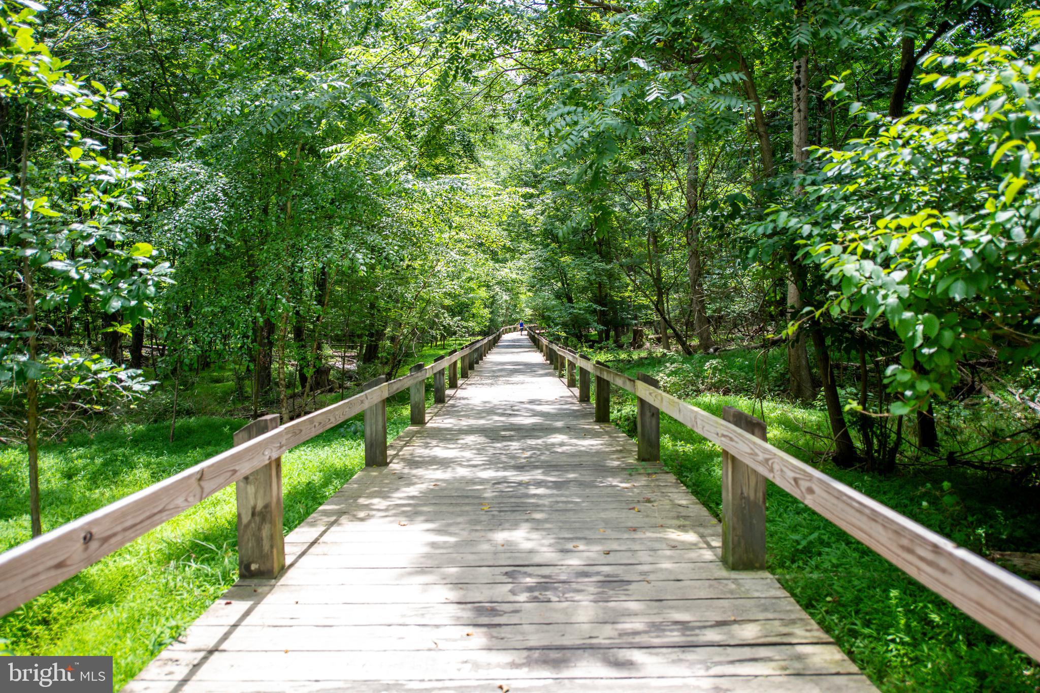 10319 Bloom Drive Damascus, MD 20872 - Photo 39 of 42 Upper Magruder Branch Park trails behind culdesac