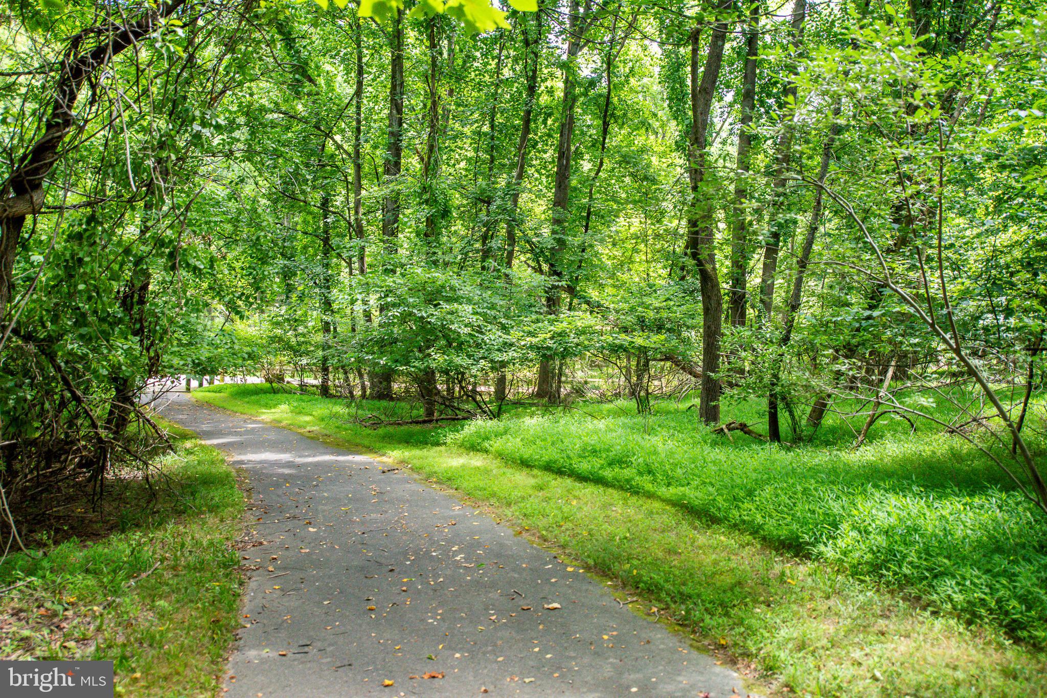 10319 Bloom Drive Damascus, MD 20872 - Photo 40 of 42 Upper Magruder Branch Park trails behind culdesac