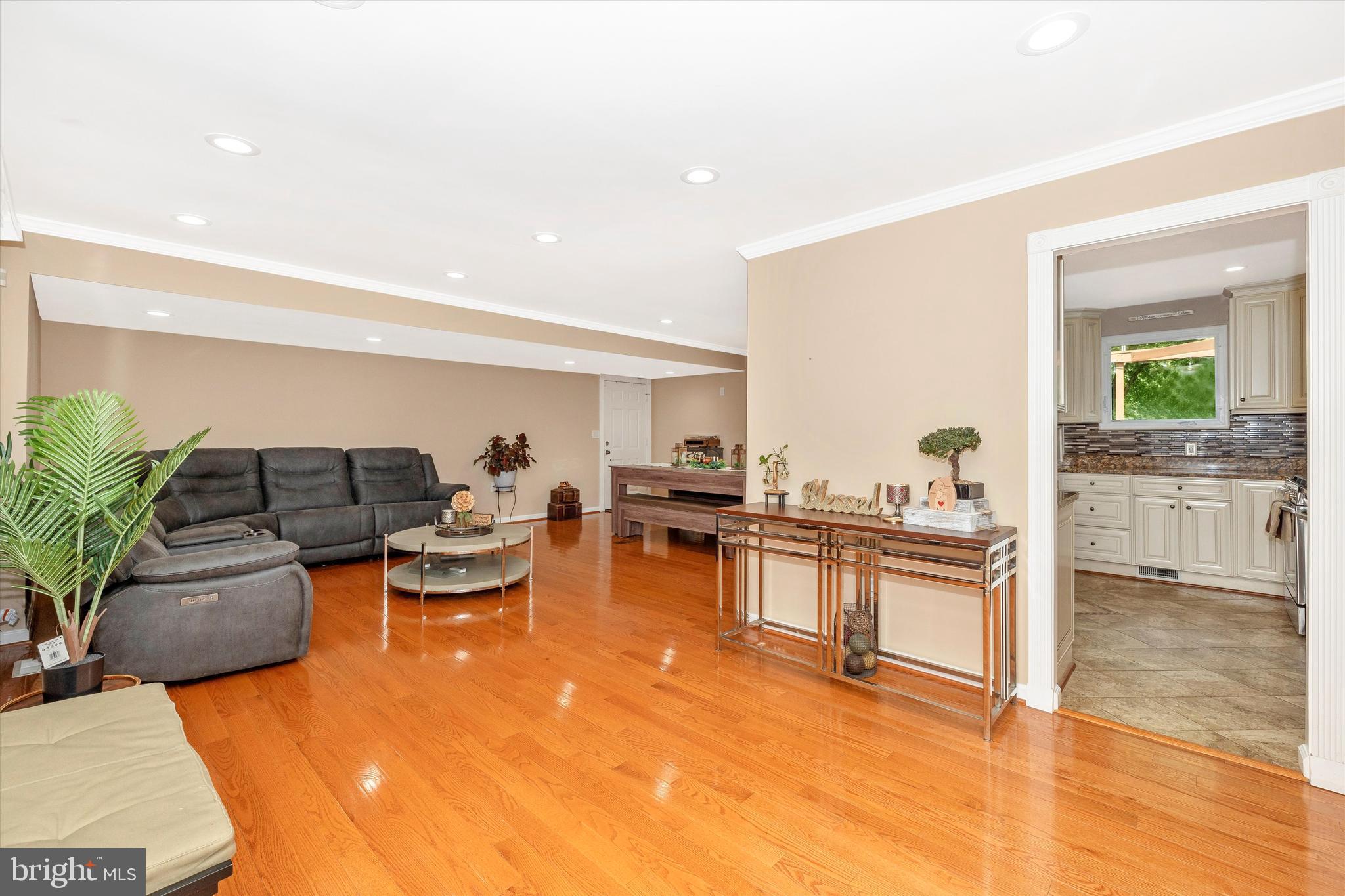 10319 Bloom Drive Damascus, MD 20872 - Photo 4 of 42 Large, open main concept