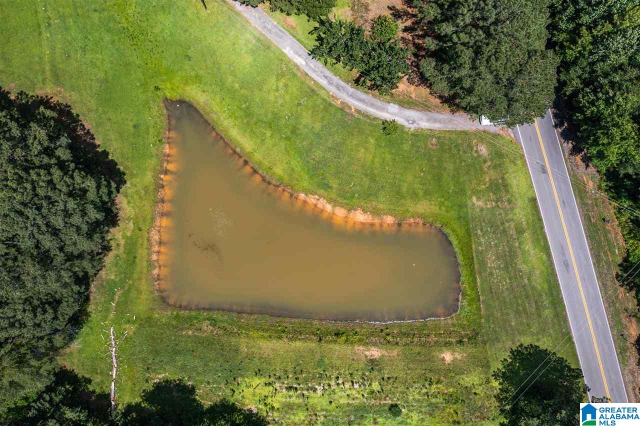 225 Highway 33 Oneonta, AL 35121 - Photo 40 of 41 Gallery Image 40