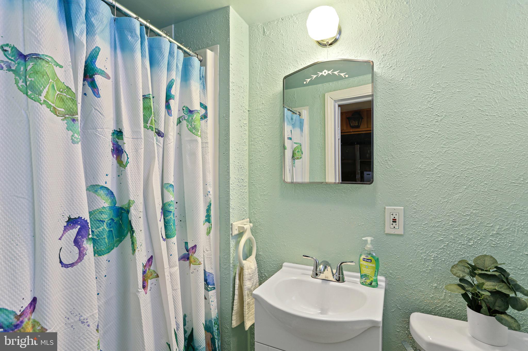 413 Whitfield Road Catonsville, MD 21228 - Photo 27 of 33 2nd full bath in club room area