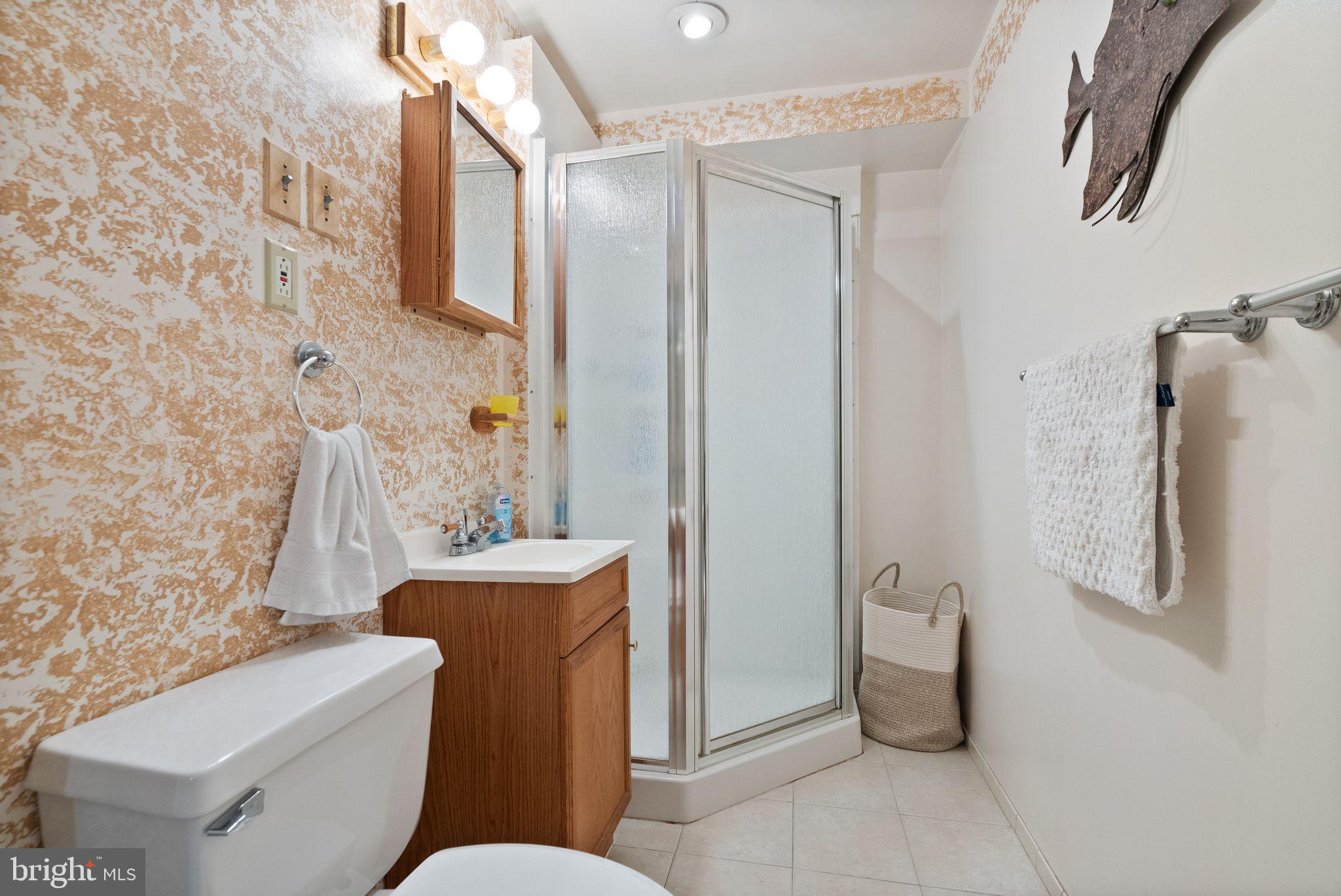 11082 Oakview Road Delaplane, VA 20144 - Photo 26 of 41 Full bath in basement